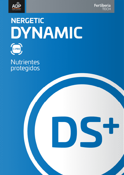 flyer nergetic dynamic