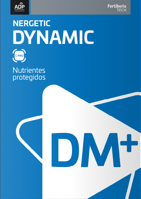 flyer nergetic dynamic