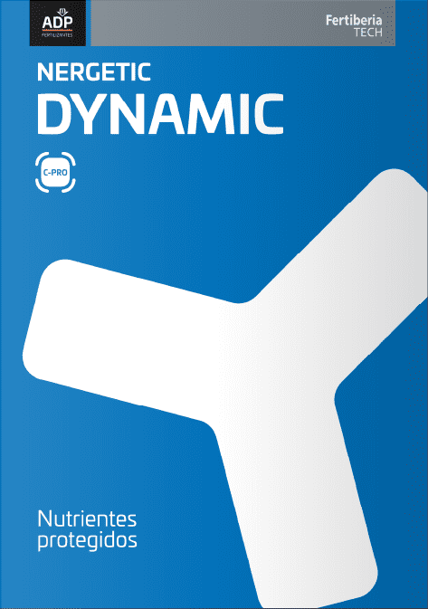 flyer nergetic dynamic