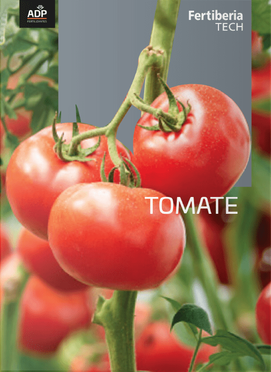 flyer tomato fertiberia tech