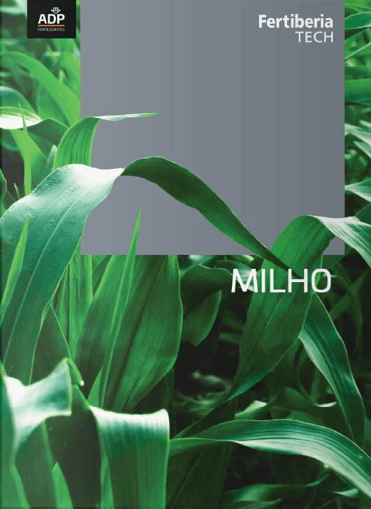 flyer corn fertiberia tech