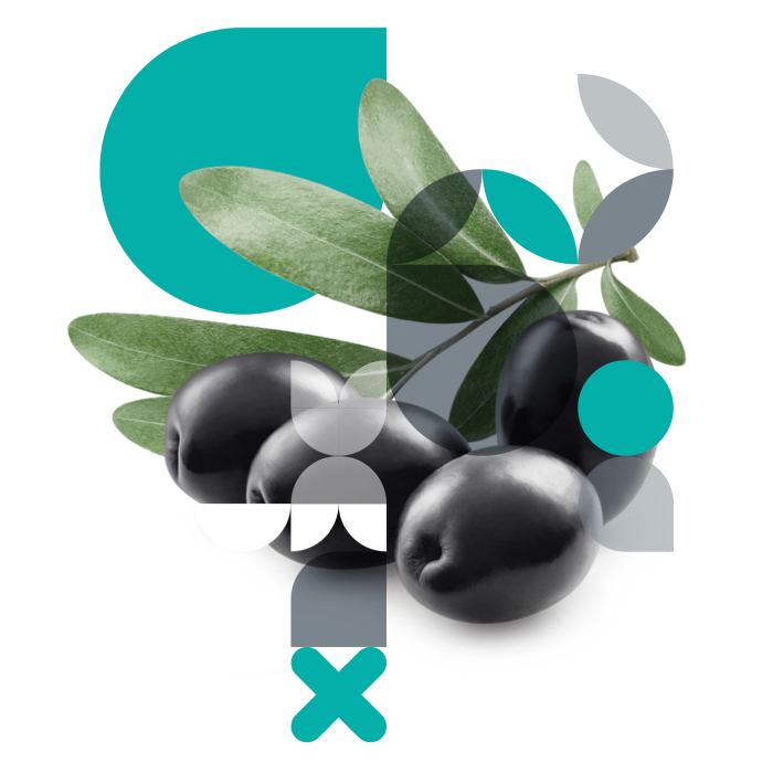 Fertiberia ilustration with olives