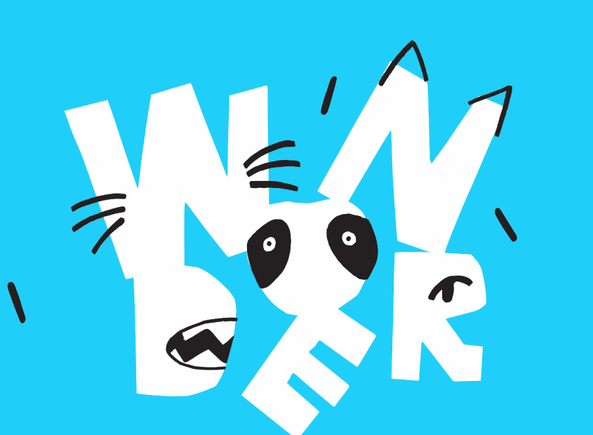 Wonder logo